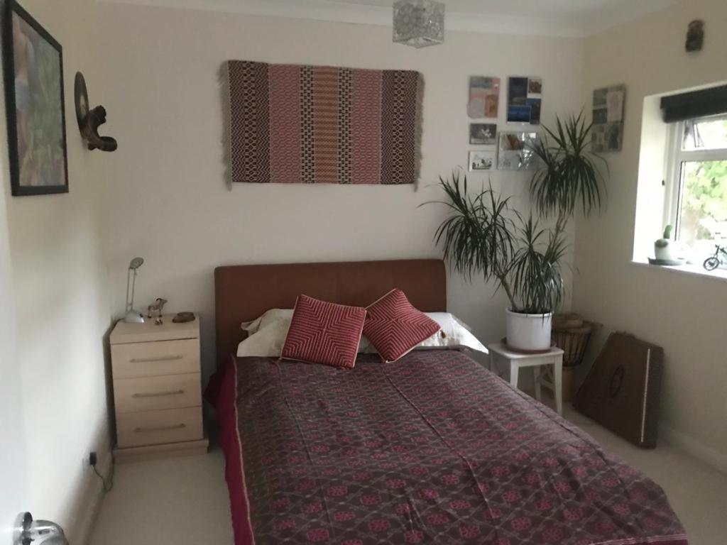 Serene Spacious Room Staines-upon-Thames Bagian luar foto